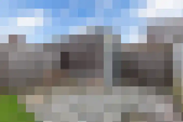 Kastanjeleane 14 Lemmer thumbnail 21