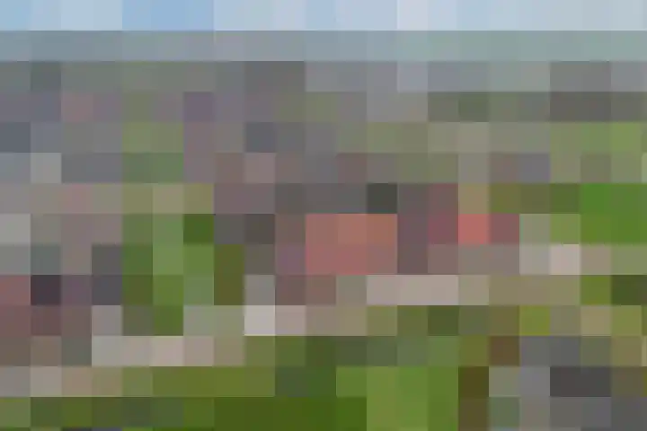 Kastanjeleane 14 Lemmer thumbnail 22