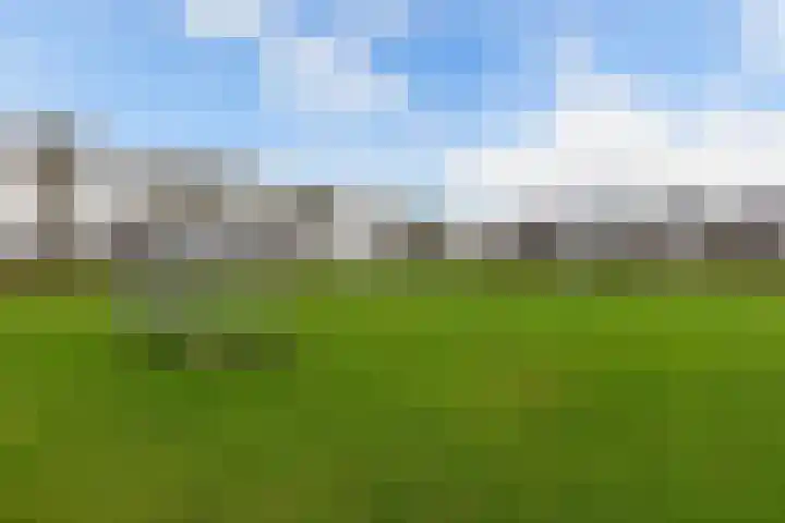 Kastanjeleane 14 Lemmer thumbnail 33