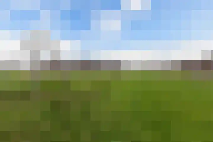 Kastanjeleane 14 Lemmer thumbnail 34