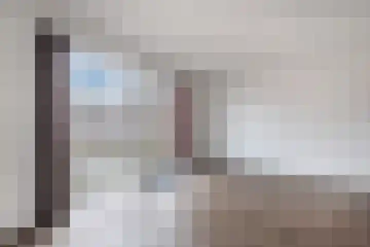 Kastanjeleane 14 Lemmer thumbnail 8