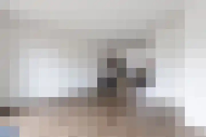 Kastanjeleane 14 Lemmer thumbnail 9