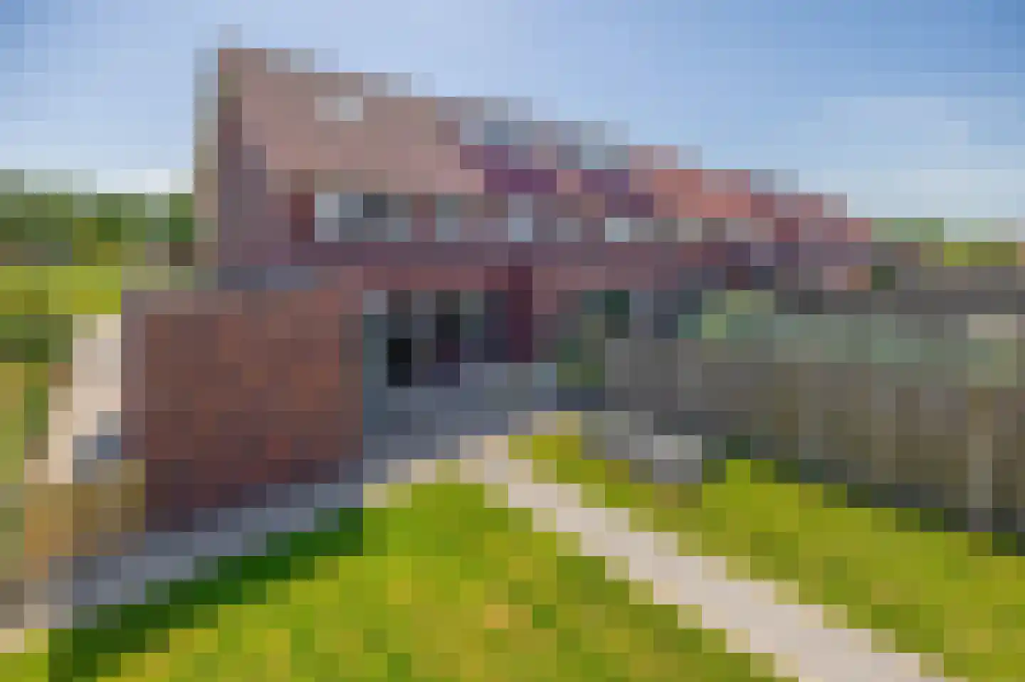 Kastanjeleane 18 Lemmer thumbnail 29