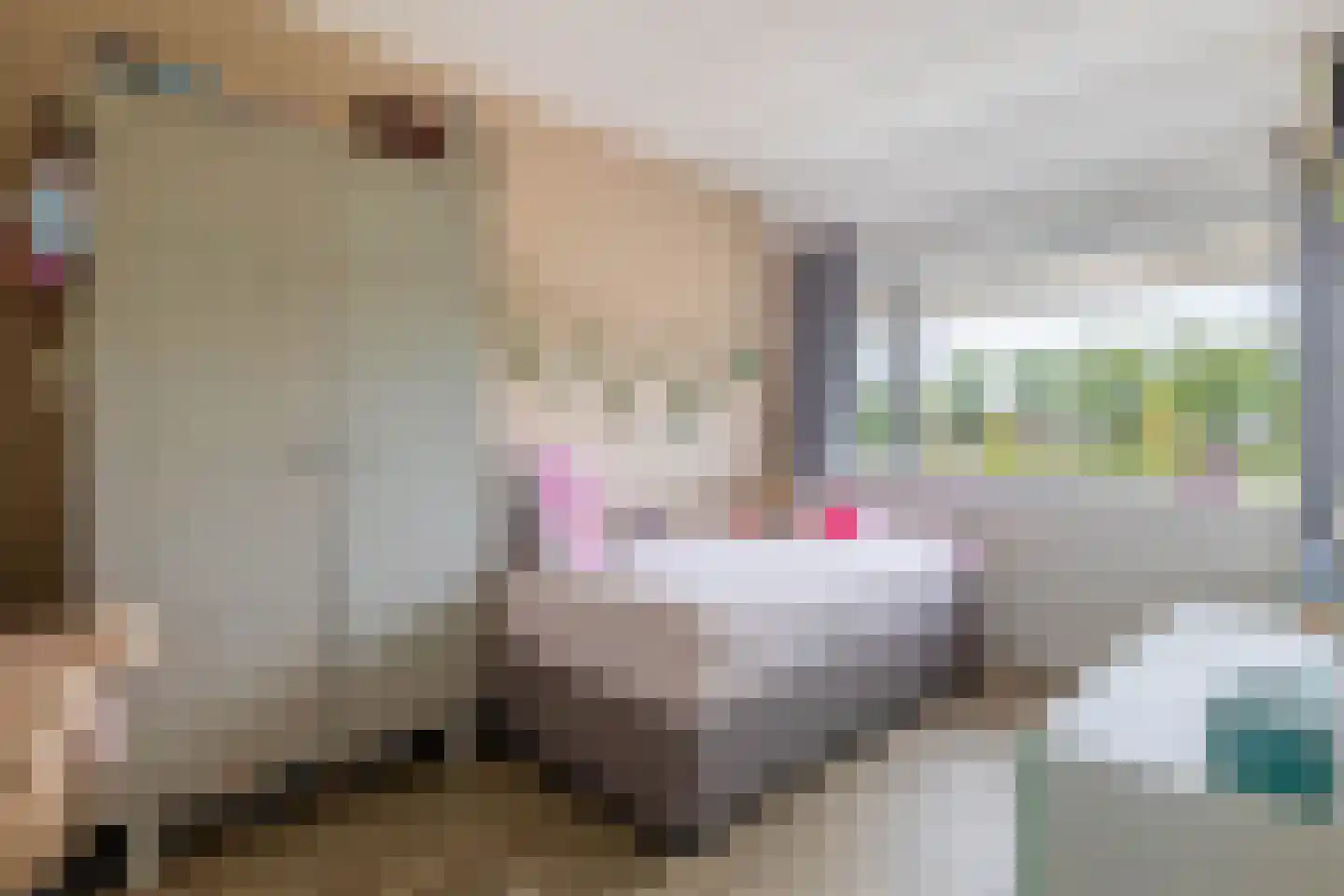 Kastanjeleane 18 Lemmer thumbnail 37