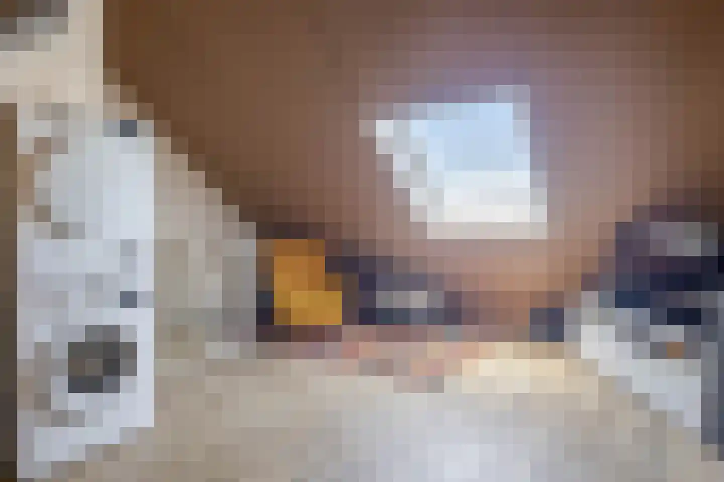 Kastanjeleane 18 Lemmer thumbnail 39