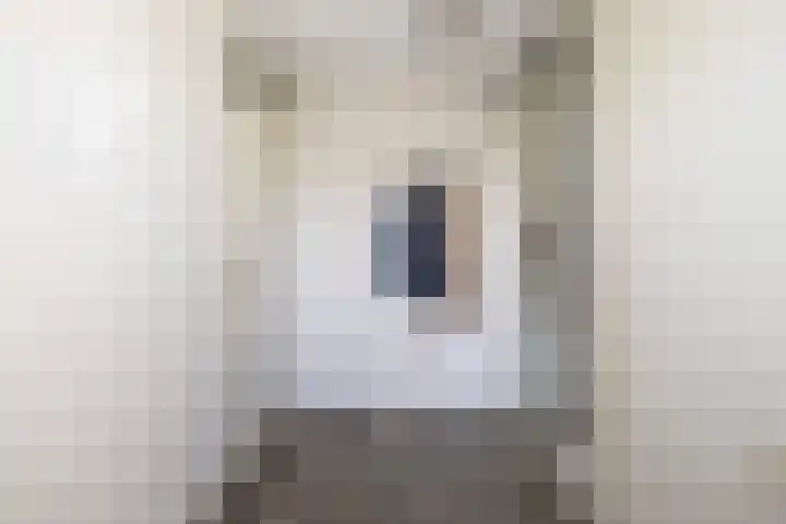 Kastanjeleane 36 Stiens thumbnail 10