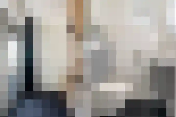 Kastanjeleane 36 Stiens thumbnail 11