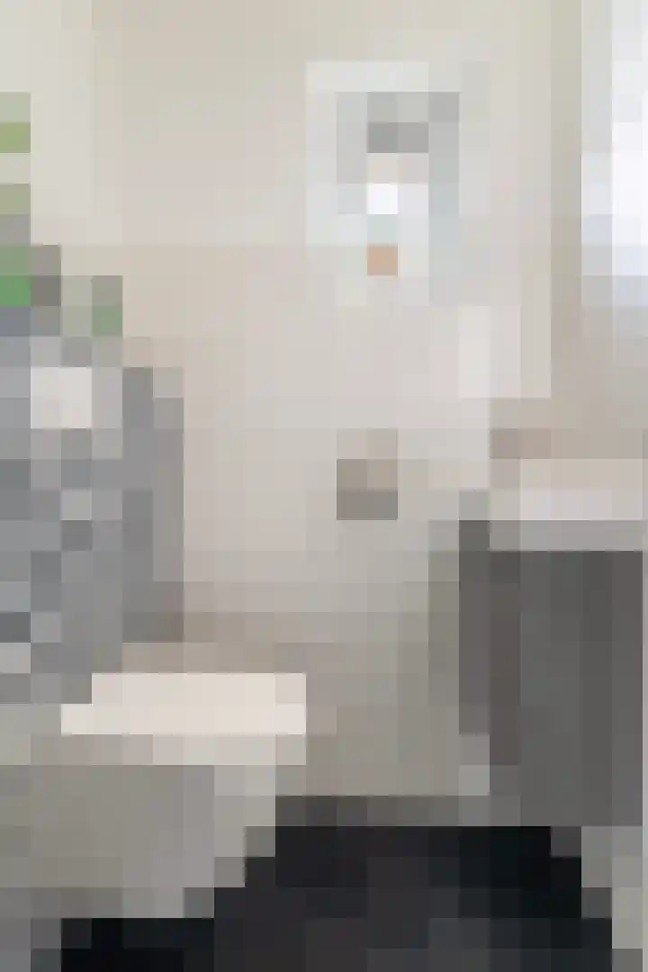 Kastanjeleane 36 Stiens thumbnail 12