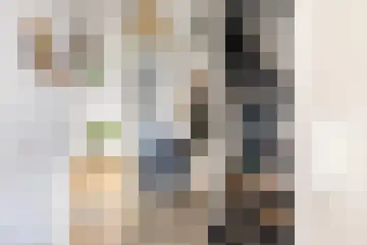 Kastanjeleane 36 Stiens thumbnail 13