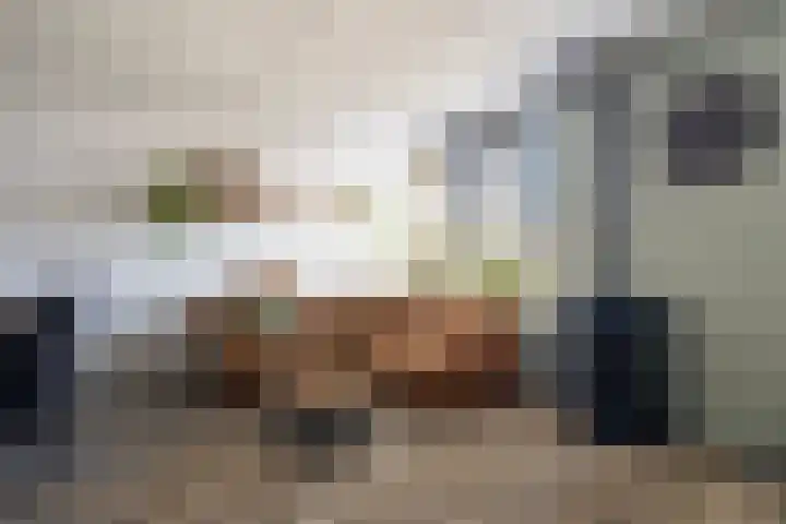 Kastanjeleane 36 Stiens thumbnail 16