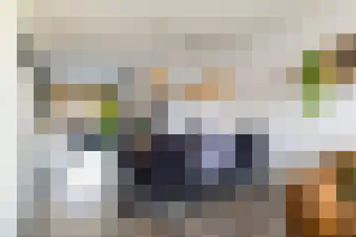Kastanjeleane 36 Stiens thumbnail 17