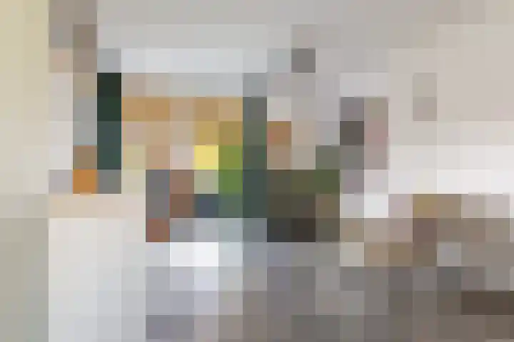 Kastanjeleane 36 Stiens thumbnail 19