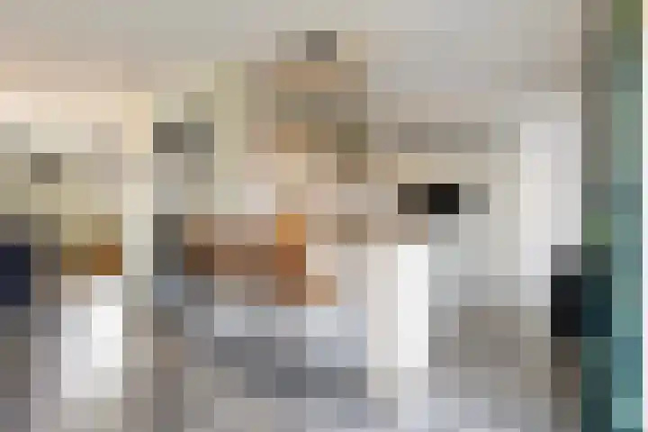 Kastanjeleane 36 Stiens thumbnail 21