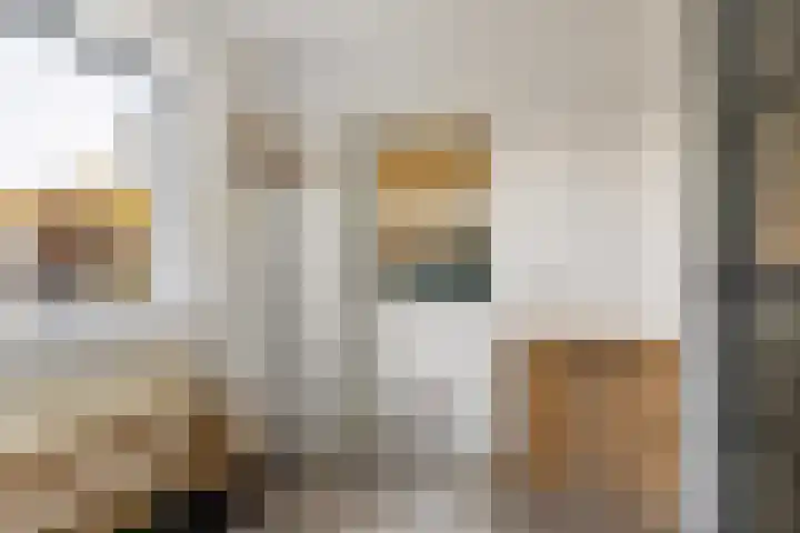 Kastanjeleane 36 Stiens thumbnail 23
