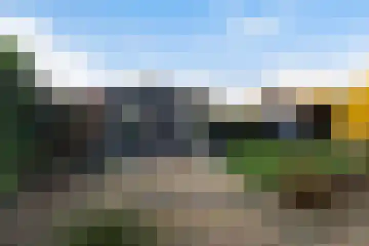 Kastanjeleane 36 Stiens thumbnail 25