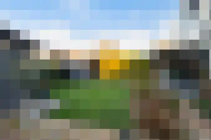 Kastanjeleane 36 Stiens thumbnail 26