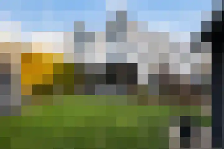 Kastanjeleane 36 Stiens thumbnail 27