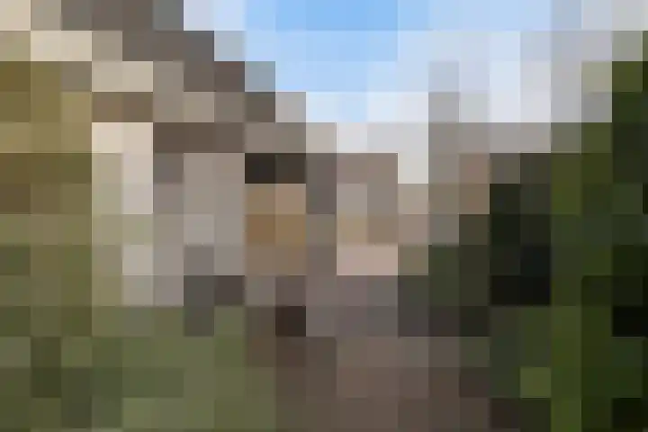 Kastanjeleane 36 Stiens thumbnail 28