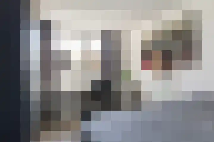 Kastanjeleane 36 Stiens thumbnail 30
