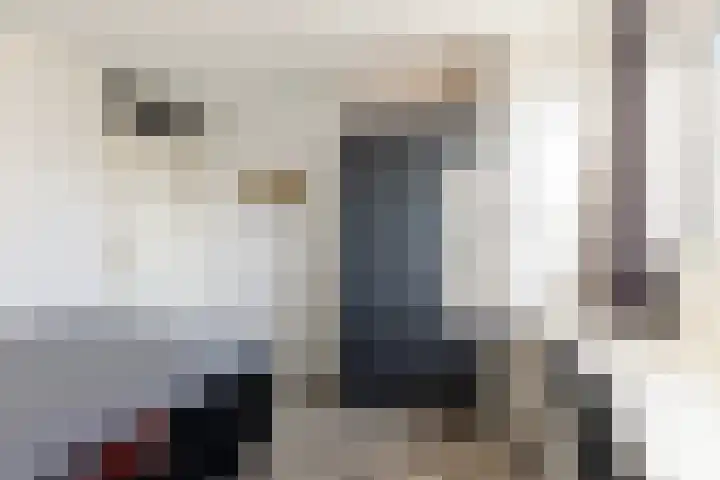 Kastanjeleane 36 Stiens thumbnail 32