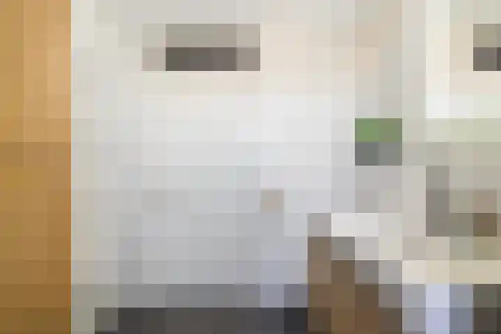 Kastanjeleane 36 Stiens thumbnail 35