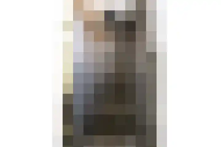 Kastanjeleane 36 Stiens thumbnail 37
