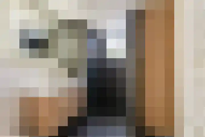 Kastanjeleane 36 Stiens thumbnail 4