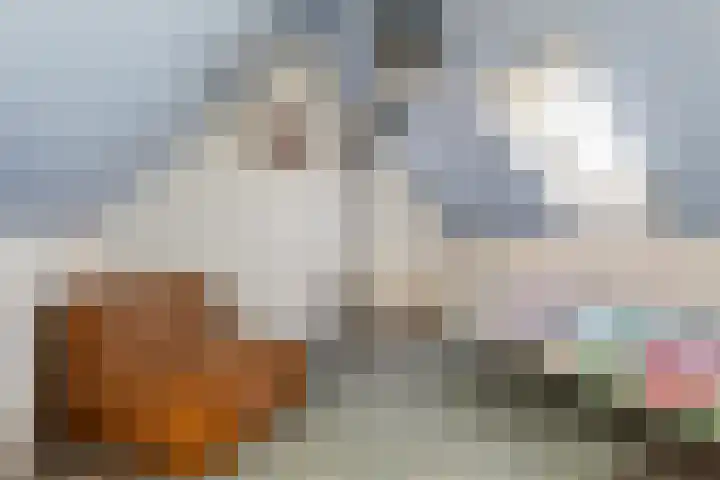 Kastanjeleane 36 Stiens thumbnail 40