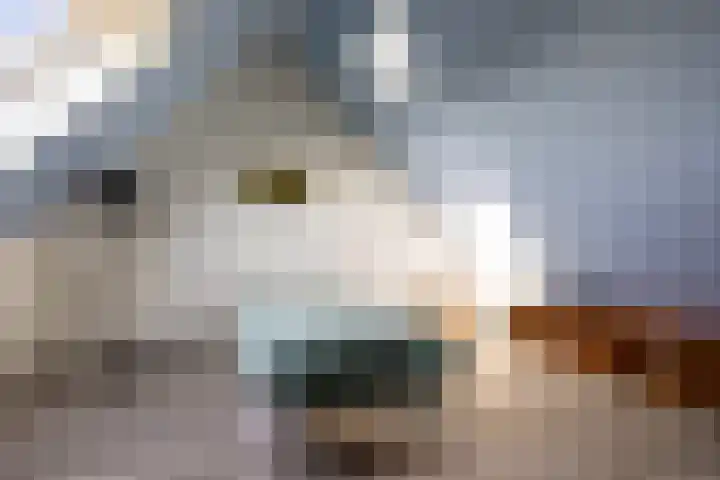 Kastanjeleane 36 Stiens thumbnail 41