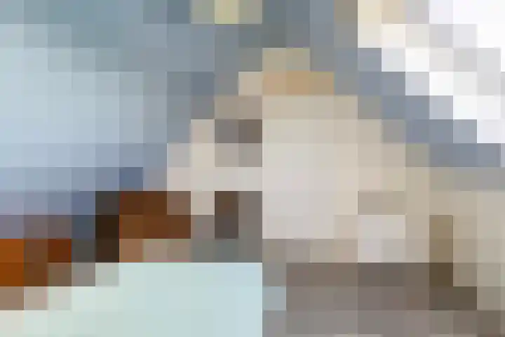 Kastanjeleane 36 Stiens thumbnail 42