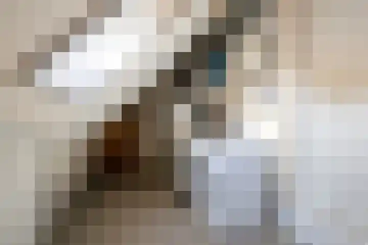 Kastanjeleane 36 Stiens thumbnail 43