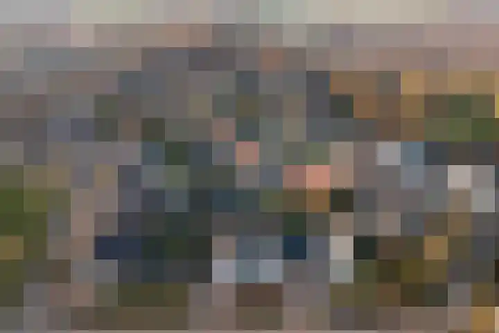 Kastanjeleane 36 Stiens thumbnail 44