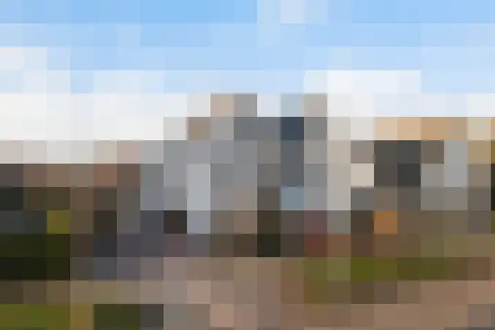 Kastanjeleane 36 Stiens thumbnail 6