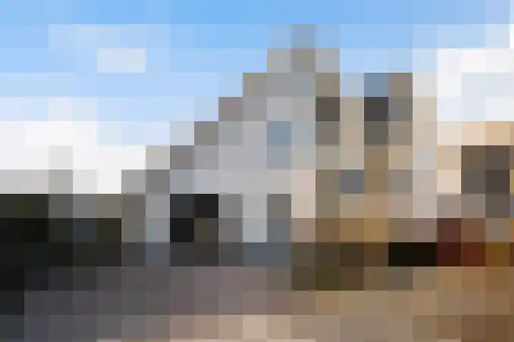 Kastanjeleane 36 Stiens thumbnail 8