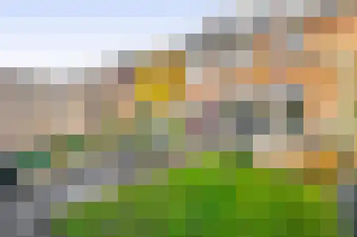 Kastanjeleane 50 Lemmer thumbnail 16