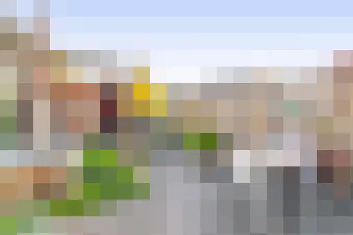 Kastanjeleane 50 Lemmer thumbnail 17