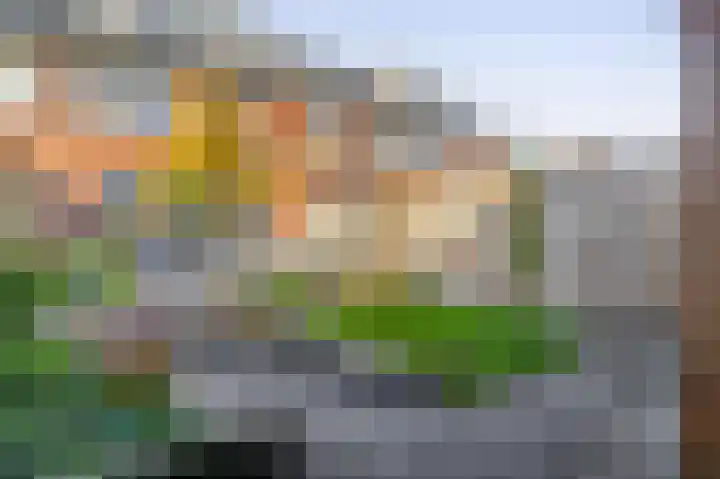 Kastanjeleane 50 Lemmer thumbnail 19