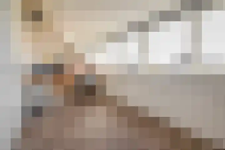Kastanjeleane 50 Lemmer thumbnail 30