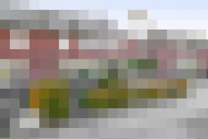 Kastanjeleane 50 Lemmer thumbnail 32