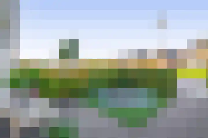 Kastanjeleane 50 Lemmer thumbnail 33