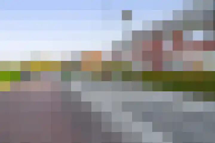 Kastanjeleane 50 Lemmer thumbnail 34