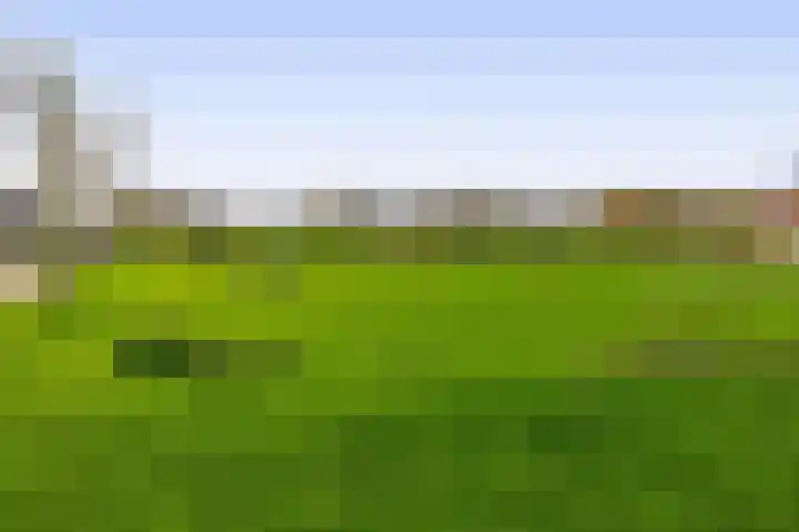 Kastanjeleane 50 Lemmer thumbnail 35