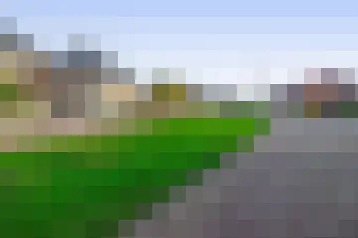 Kastanjeleane 50 Lemmer thumbnail 36
