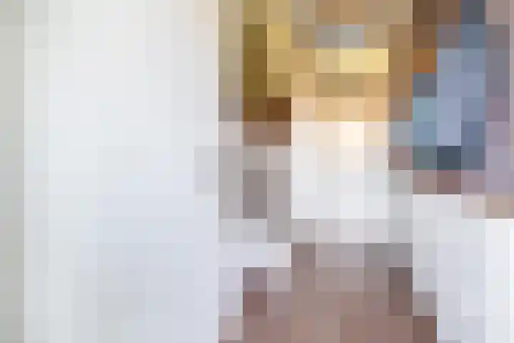 Kastanjeleane 50 Lemmer thumbnail 6