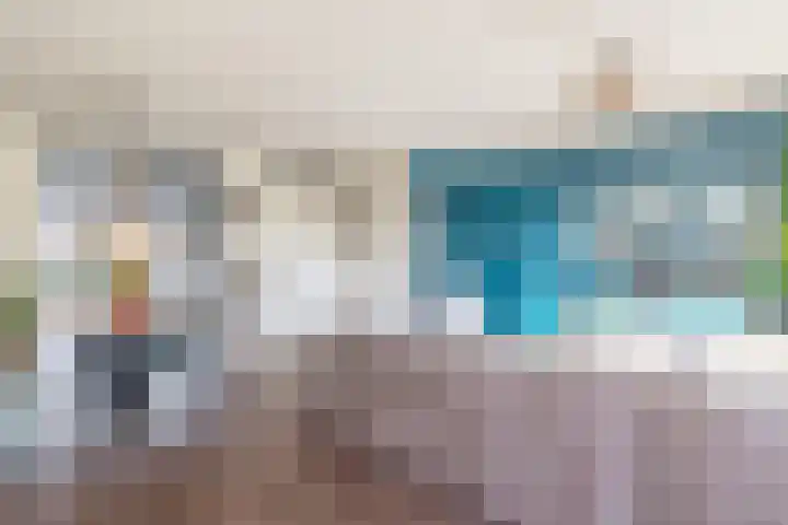 Kastanjeleane 50 Lemmer thumbnail 7
