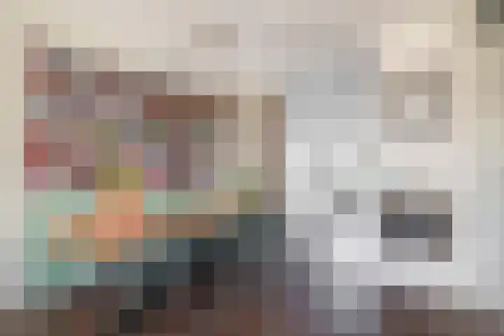 Kastanjeleane 50 Lemmer thumbnail 8