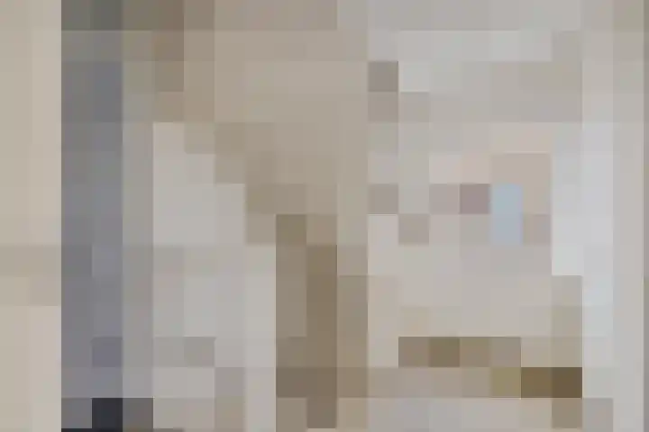 Kastanjeleane 53 Stiens thumbnail 13