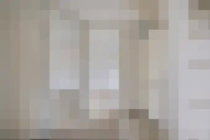 Kastanjeleane 53 Stiens thumbnail 14