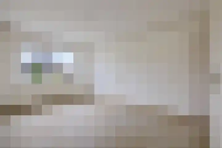 Kastanjeleane 53 Stiens thumbnail 17