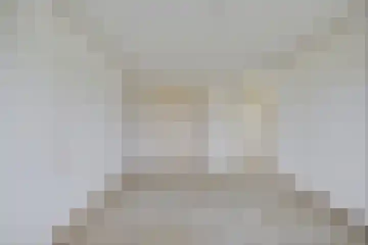Kastanjeleane 53 Stiens thumbnail 18